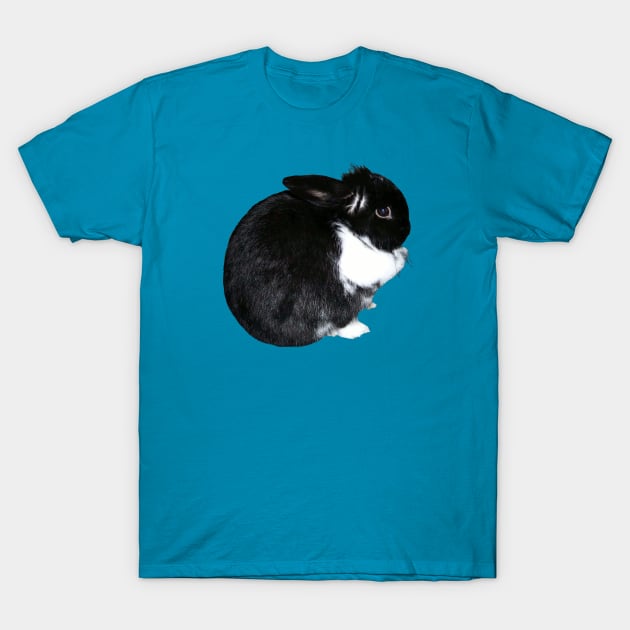 Black and White Cute Bunny T-Shirt by badlydrawnbabe